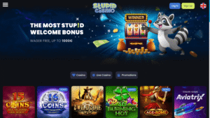Avis sur Stupid Casino : une offre riche, mais pas irréprochable